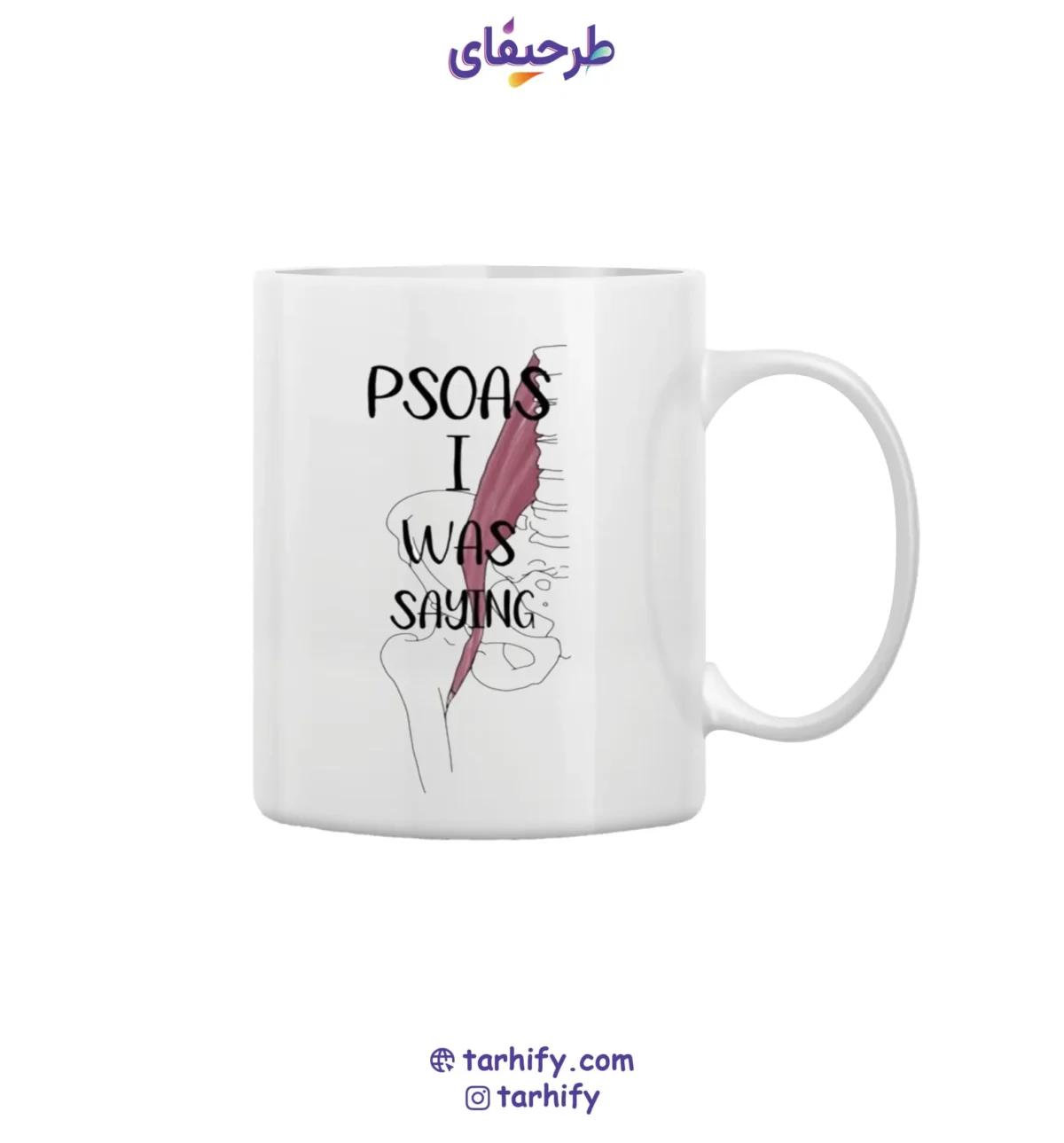 ماگ سرامیکی طرح عضله Muscle Anatomy با چاپ علمی و دقیق از سیستم عضلانی بدن